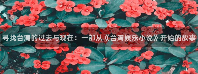 恒行5官网体验k88v典cc：寻找台湾的过去与现在：一部从《台湾娱乐小说》开始的故事