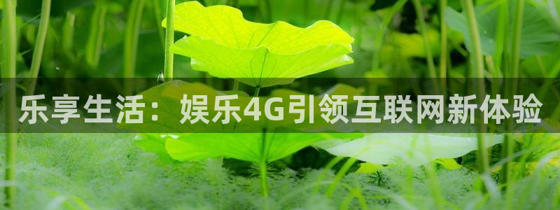 恒行5娱乐：乐享生活：娱乐4G引领互联网新体验