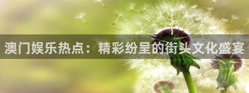 恒行5官网体验k88v典cc：澳门娱乐热点：精彩纷呈的街头文化盛宴